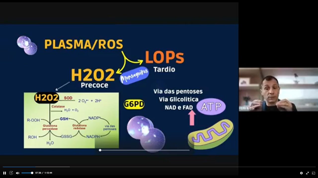 Nova aula disponível